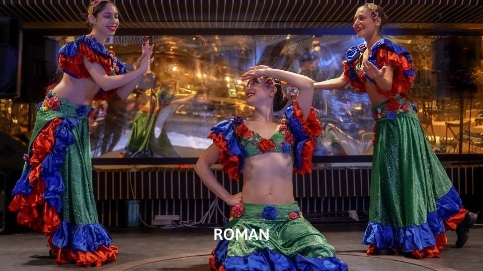 Bosphorus Dinner Cruise and Turkish Night Shows